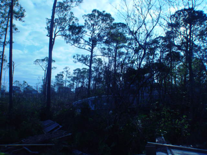 Ivan Salvage Photo's 132