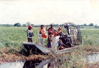 Working-in-Mexico